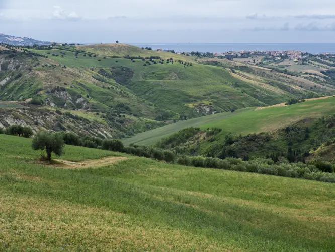 blu costruzioni servizi ambientali - Blu Costruzioni